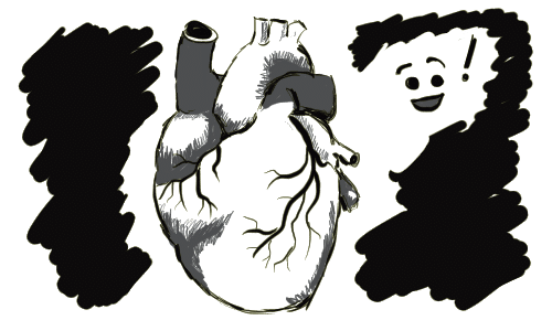 A regular human heart.