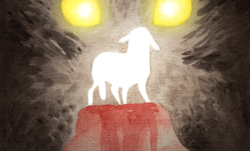 More than a Lamb for Súile Buí