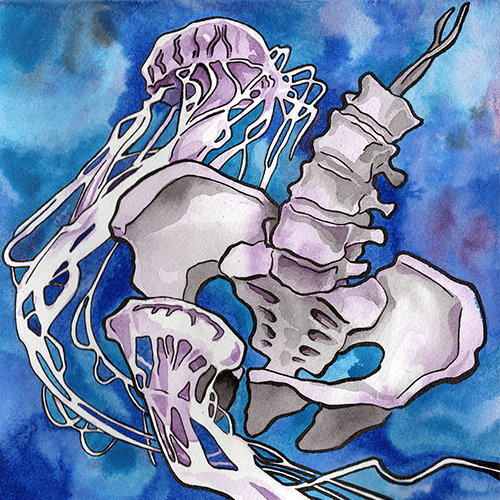 Sea Kelp / Seek Help
